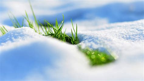 Spring Snow Wallpapers - Top Free Spring Snow Backgrounds - WallpaperAccess