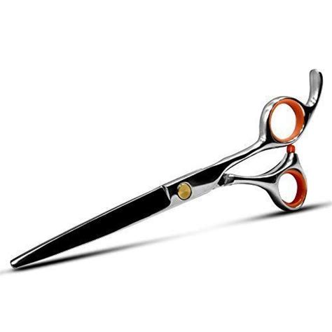 6+ Fantastic Best Professional Hair Cutting Shears Reviews