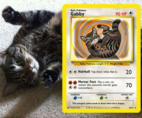 Your Pet As A Pokemon Card - Shut Up And Take My Money