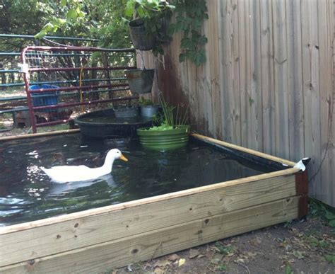 25+ Awesome DIY Backyard Duck Pond Ideas & Designs For 2024 | Ponds ...