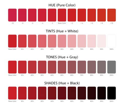 Shade, Tint, and Tone: What Is the Difference Between These Color Terms ...