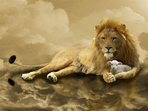 Lion and Lamb Wallpaper - WallpaperSafari