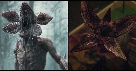 Stranger Things 10 Unanswered Questions We Still Have About The Demogorgon