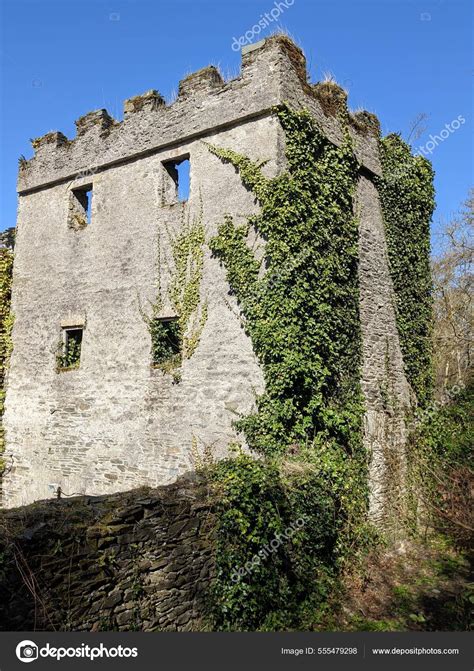 Ancient Castle Kildare Ireland Stock Photo by ©alin.s 555479298