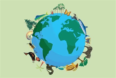 The Importance of Conserving Biodiversity