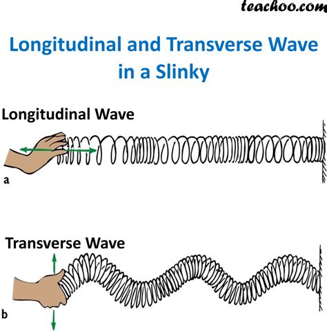 A Longitudinal Wave Vs Transverse - Shajara