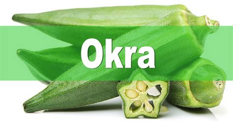 Health Benefits of Okra