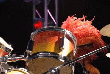 The Muppets GIFs - Find & Share on GIPHY