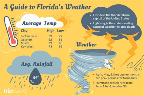 Florida Weather August 2024 - Esma Odille