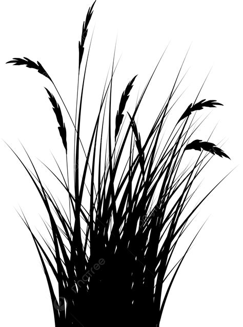 Reeds Grass Silhouette, Grass Drawing, Silhouette Drawing, Grass Sketch ...