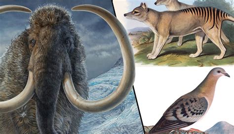 6 Animals That Scientists Are Trying to Bring Back from Extinction