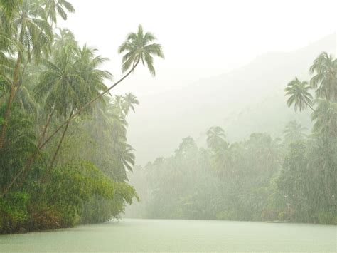 Tropical Rainforest Climates Are The Hottest On Earth - The Earth ...