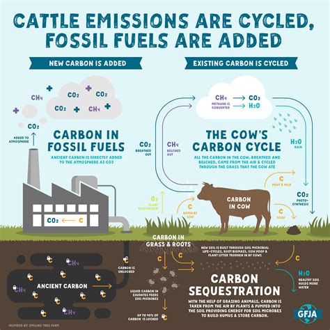 Where Do Methane Emissions Come From? — Global Food Justice Alliance