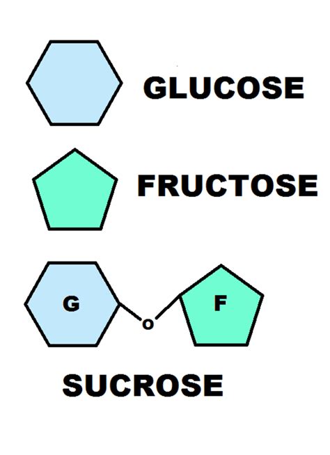 Structure Of Glucose Fructose And Sucrose