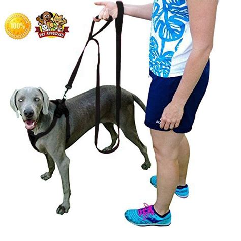 Top 7 Best Dog Training Leash for Puppies and Adult Dogs in 2018