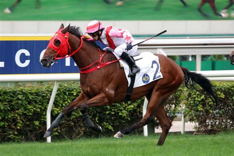 HKJC Racing on Twitter: "RT @HKJC_Racing: Declarations are out for ...