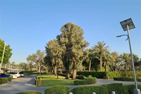 Mushrif Park - Propsearch.ae