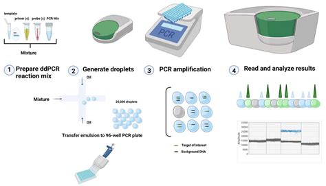 IJMS | Free Full-Text | Application of Droplet Digital PCR Technology ...