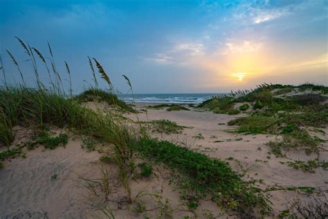 Surprising South Padre Island, Texas: A Nature Lover's Perfect Paradise