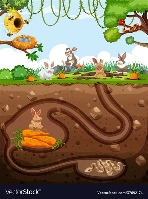 Underground animal burrow with rabbit family Vector Image