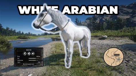 How to find the White Arabian Horse ? - RDR2 - YouTube