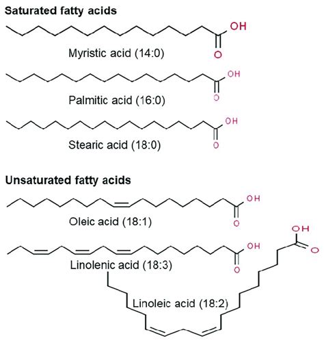 Representative chemical structure of saturated and unsaturated fatty ...