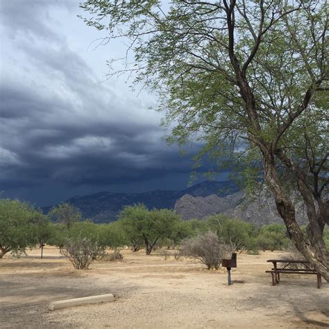 Catalina State Park Camping | The Dyrt