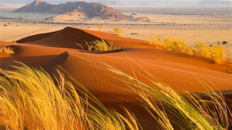 10 Foto Gurun Terindah di Dunia Yang Menarik Perhatian Wisatawan ...