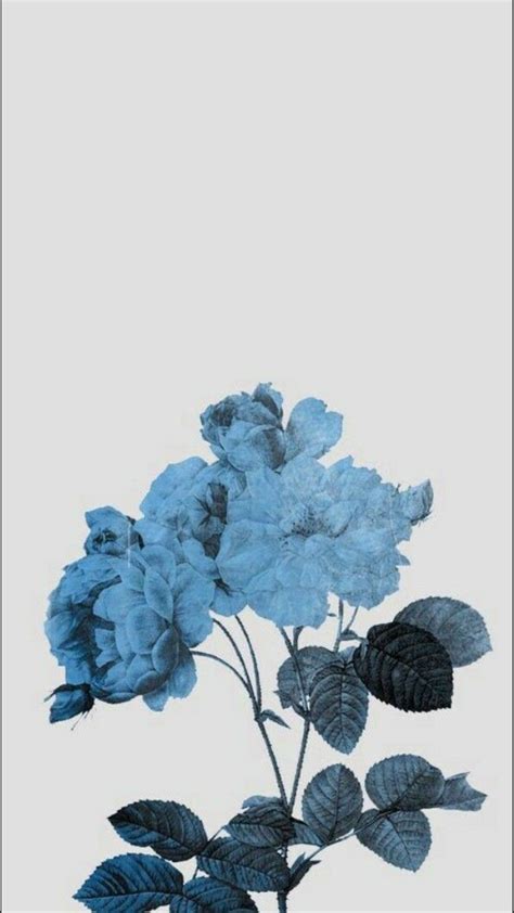 Aesthetic Blue Flower Wallpaper Desktop