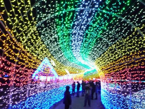 ☆Beautiful Christmas Lights in Japan☆ | PuniPuniJapan