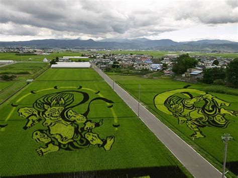 The Rice Paddy Art of Japan | Amusing Planet