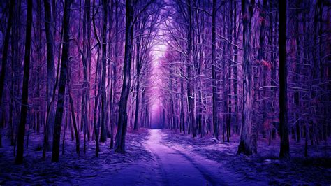 Purple winter forest - Digital painting - backiee