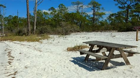 St. George island State Park - Primitive camping | State parks, Island ...