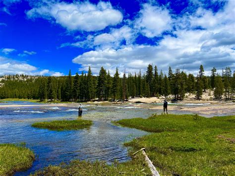 Yosemite National Park Fly Fishing