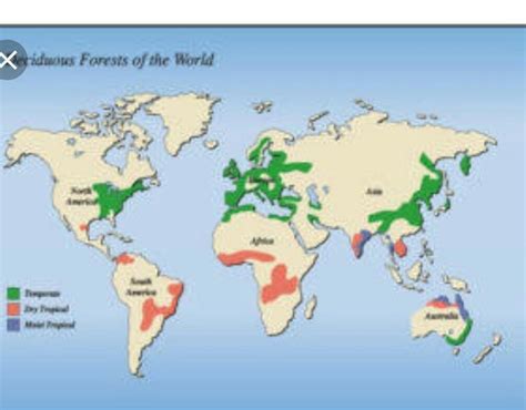 Tropical Evergreen Forest Map