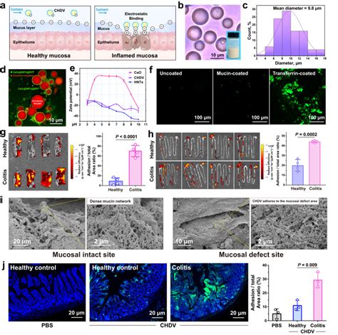 Ivis Fluorescence Imager | PerkinElmer | Bioz