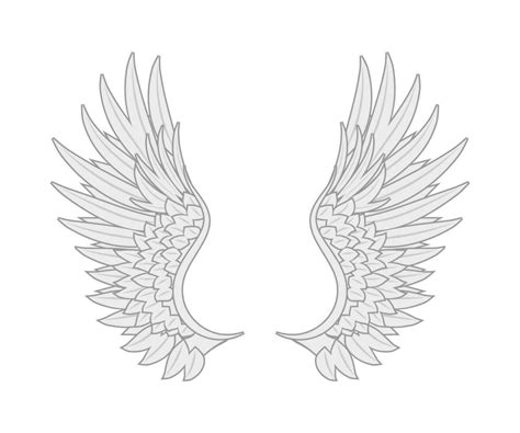 white angel wings many feathers beauty. vector new 23228917 Vector Art ...