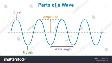 Parts Transverse Wave Physics Basic Properties Stock Vector (Royalty ...