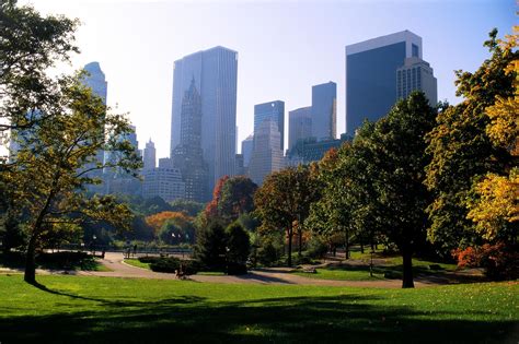 Pesticide Sprayed on New York City Parks Linked to Cancer, Study Says ...