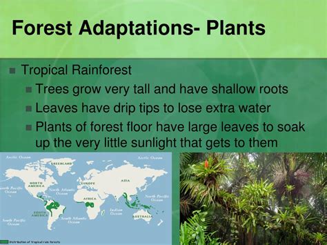 PPT - Habitats and Adaptations PowerPoint Presentation, free download ...