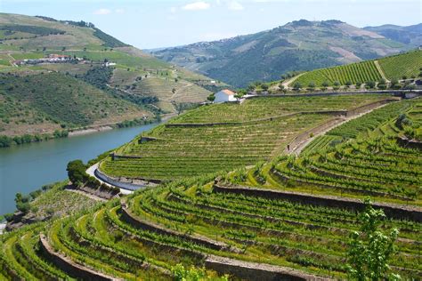 Douro River Cruises - Why is the Douro Valley So Popular?