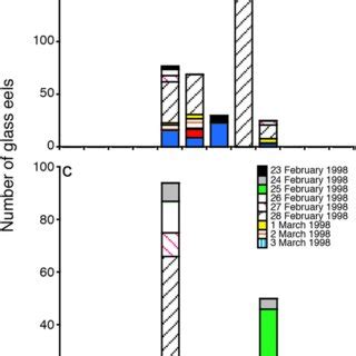 Daily periodicity of inshore migration of the glass eels. Catches of ...