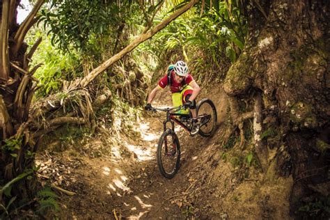 Biking Adventures in Jamaica | Experience Transat