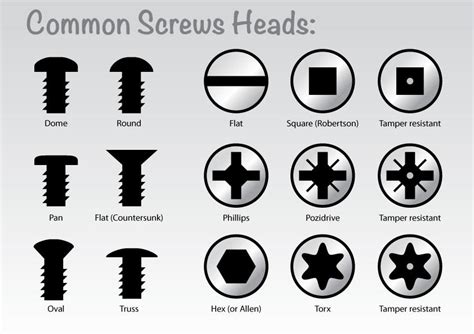 Commonly used Screw Heads Designs | Screws and bolts, Screw, Headed