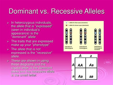 PPT - Polydactyly PowerPoint Presentation - ID:914900