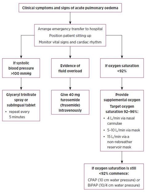 Pulmonary Edema Pictures Symptoms Treatment Causes