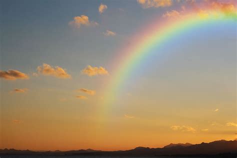 1440x2560px | free download | HD wallpaper: rainbow under blue sky ...