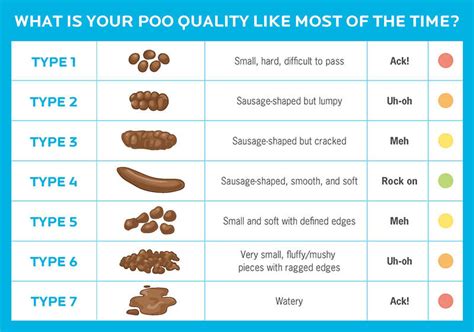 Bristol Stool Chart - A Gutsy Girl®