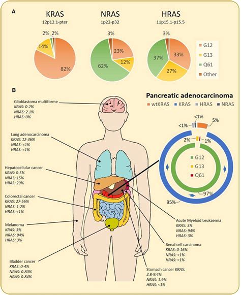 RAS mutations in human cancer. Summary of mutations of all RAS isoforms ...