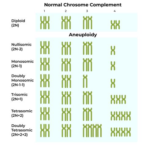 Chromosomal Disorders: Principles of Inheritance And Variation Class12 ...